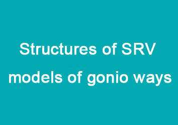 Structures of SRV models of gonio ways